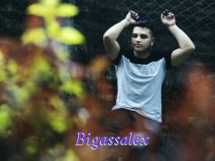 Bigassalex