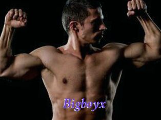 Bigboyx