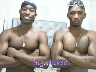 Bigcoocksu