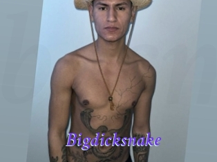 bigdicksnake Bdsm gratuit
