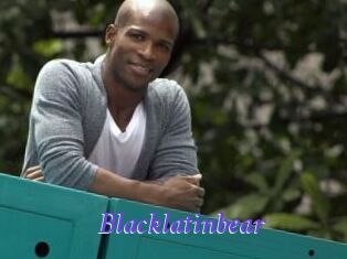 Blacklatinbear
