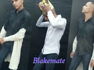 blakemate Bdsm gratuit