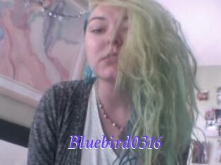 Bluebird0316