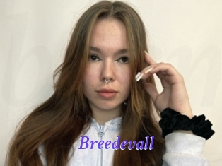 Breedevall