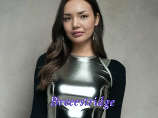 Breeestridge