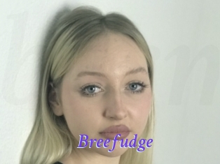 Breefudge