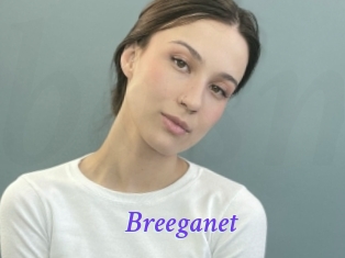 Breeganet