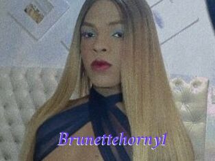 Brunettehorny1