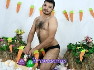 brunosains Bdsm gratuit