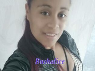 Bushalice