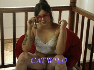 CATWILD Bdsm gratuit