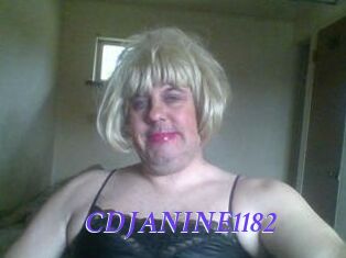 CDJANINE1182 Bdsm gratuit