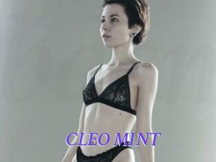 CLEO_MINT