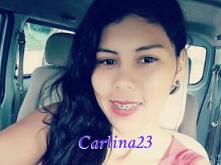 Carlina23