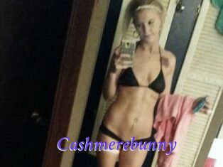 Cashmerebunny