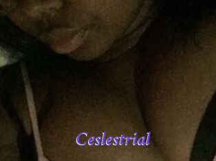 Ceslestrial