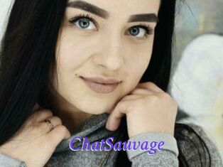 ChatSauvage