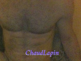 ChaudLapin