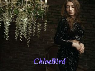 ChloeBird