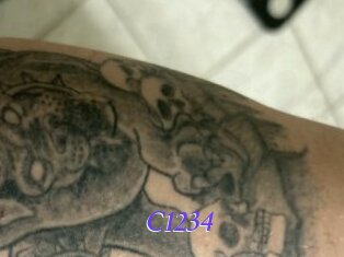 C1234