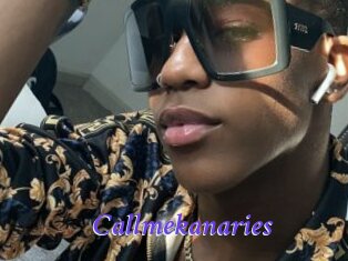 Callmekanaries