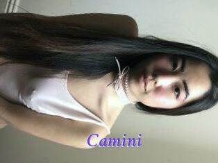 Camini