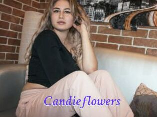 candieflowers Bdsm gratuit