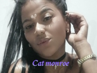 Cat_monroe