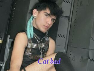 Cat_bad