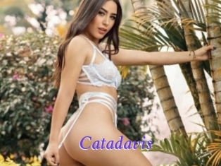 Catadavis