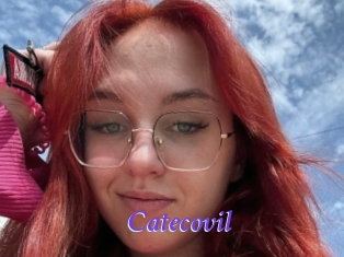 Catecovil