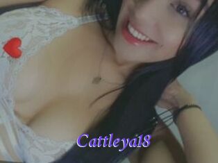 Cattleya18