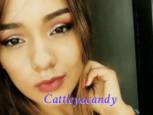 Cattleyacandy