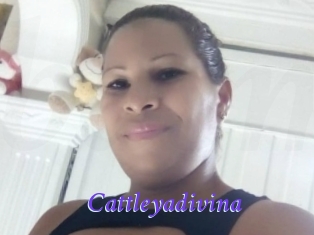 Cattleyadivina