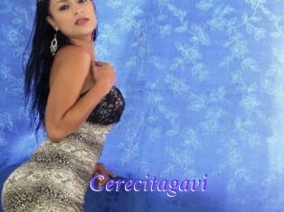 Cerecitagavi