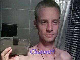 Chaton19