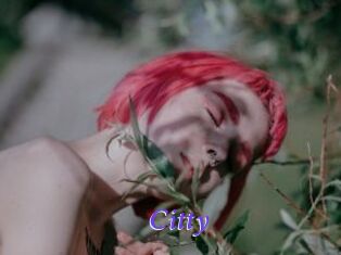 Citty