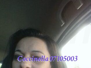Coccinella-07105003