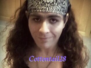 Cottontail28
