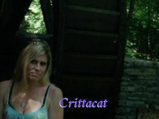 Crittacat