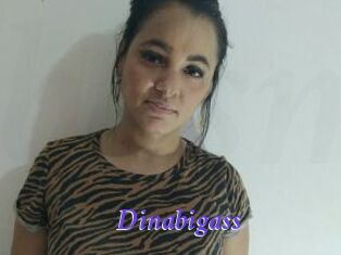 Dinabigass
