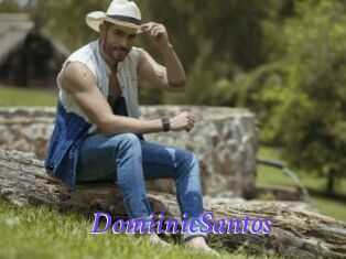 DomiinicSantos