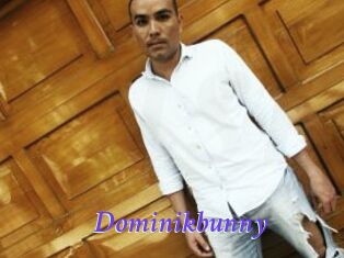 Dominikbunny