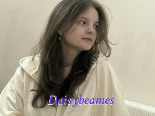 Daisybeames