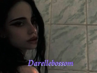 Darellebossom