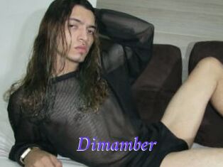 Dimamber