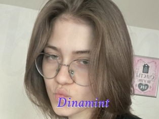 Dinamint