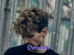 Domdam