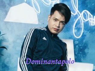 Dominantapolo