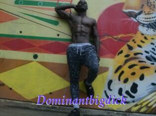 Dominantbigdick